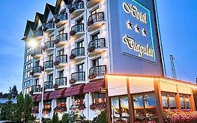 Hotel Dragului